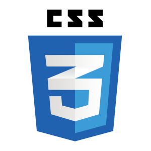 css3_logo_300_300